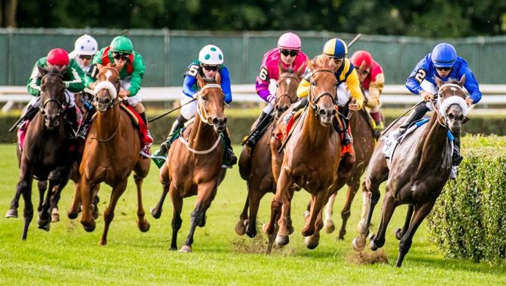 bong789,Bóng 789,nhà cái bong789,bong789 nổ hũ,bong789vn,bong789 vn,Trang chủ bong789