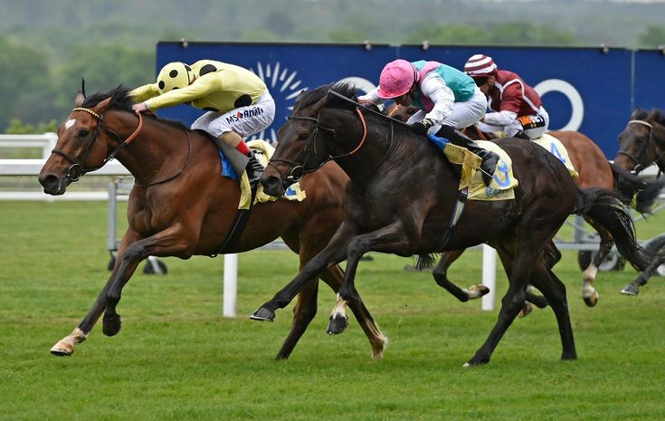 bong789,Bóng 789,nhà cái bong789,bong789 nổ hũ,bong789vn,bong789 vn,Trang chủ bong789